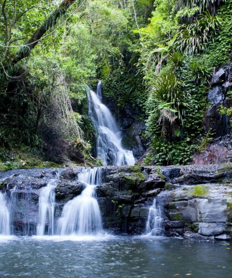 Lamington National Park (O’Reillys)