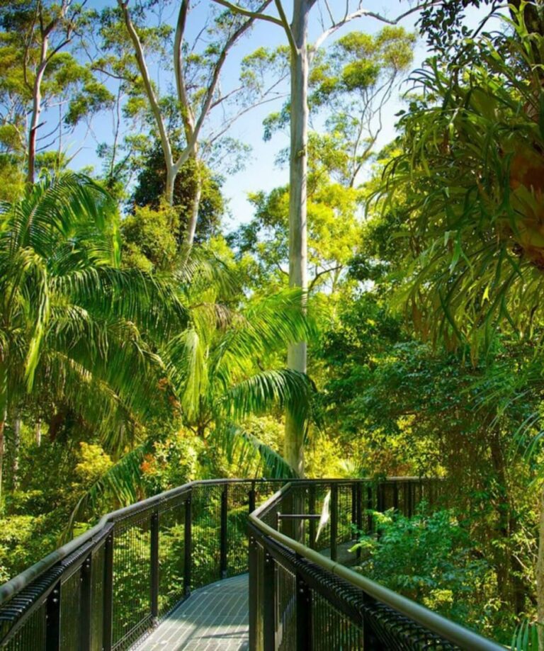 Tamborine Mountain