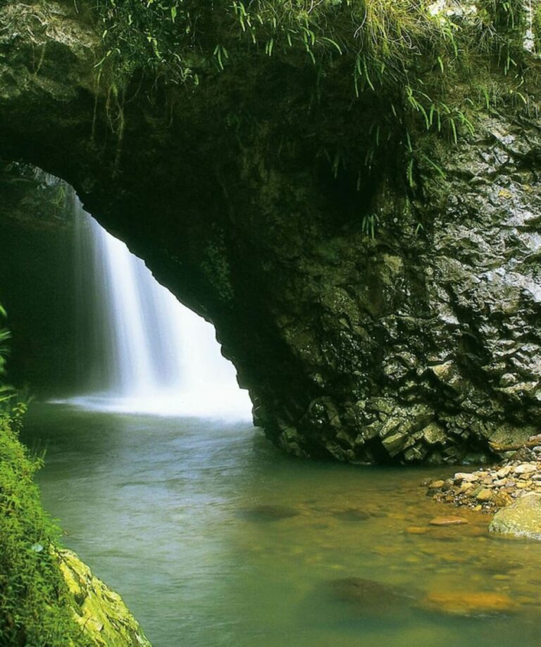 UNESCO Springbrook Rainforests & Waterfalls